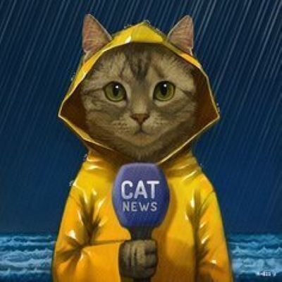 LIBRE PRESS CAT NEWS