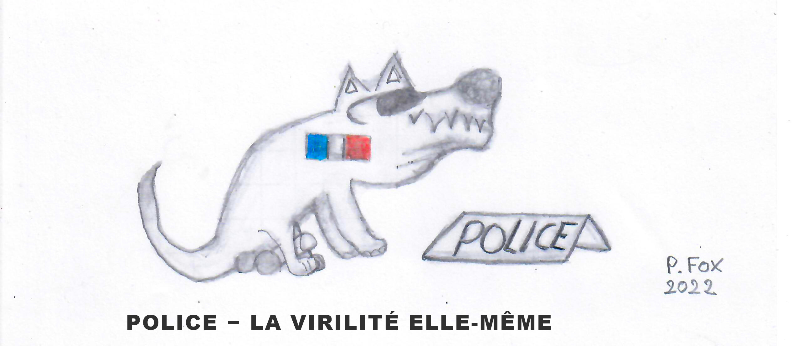 POLICE NATIONALE FRANCAISE 2023